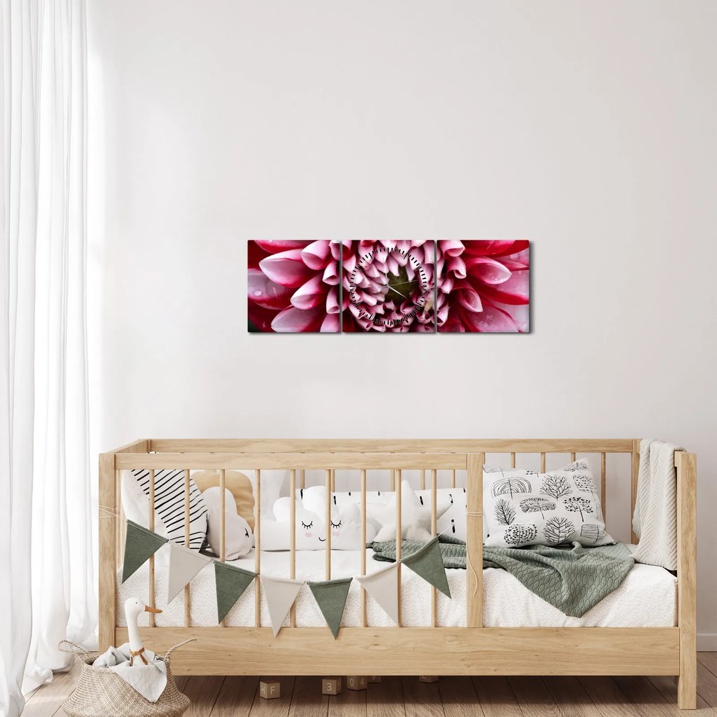 Obraz ružovej Dahlie (s hodinami) (90x30 cm)