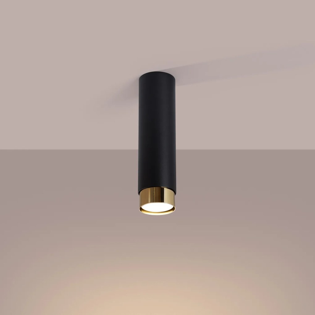 Stropné svietidlo Nero, 1x čierne kovové tienidlo, (22,5 cm), g
