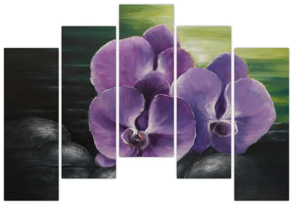 Obraz kvetov orchidey