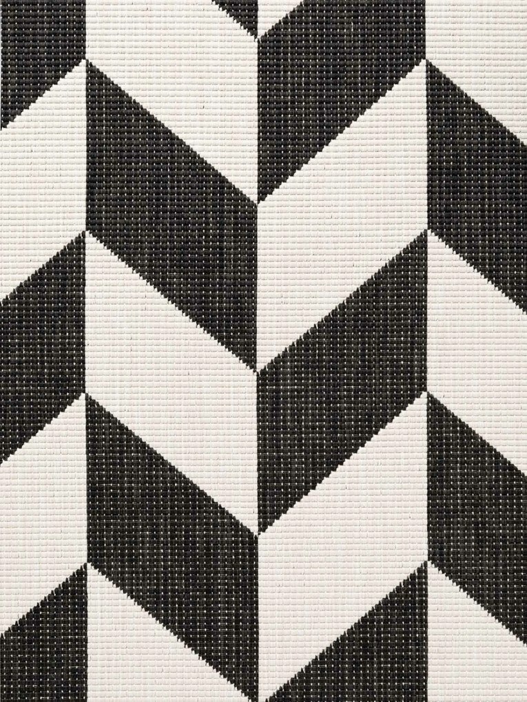 Ted Baker, Kusový koberec Ted Baker Haringey 106378 Black White, 200x300, čiernobiela, chodba / predsieň