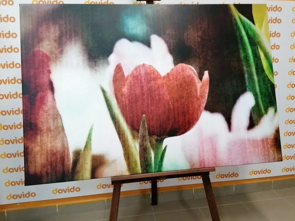 Obraz lúka tulipánov v retro štýle - 120x80