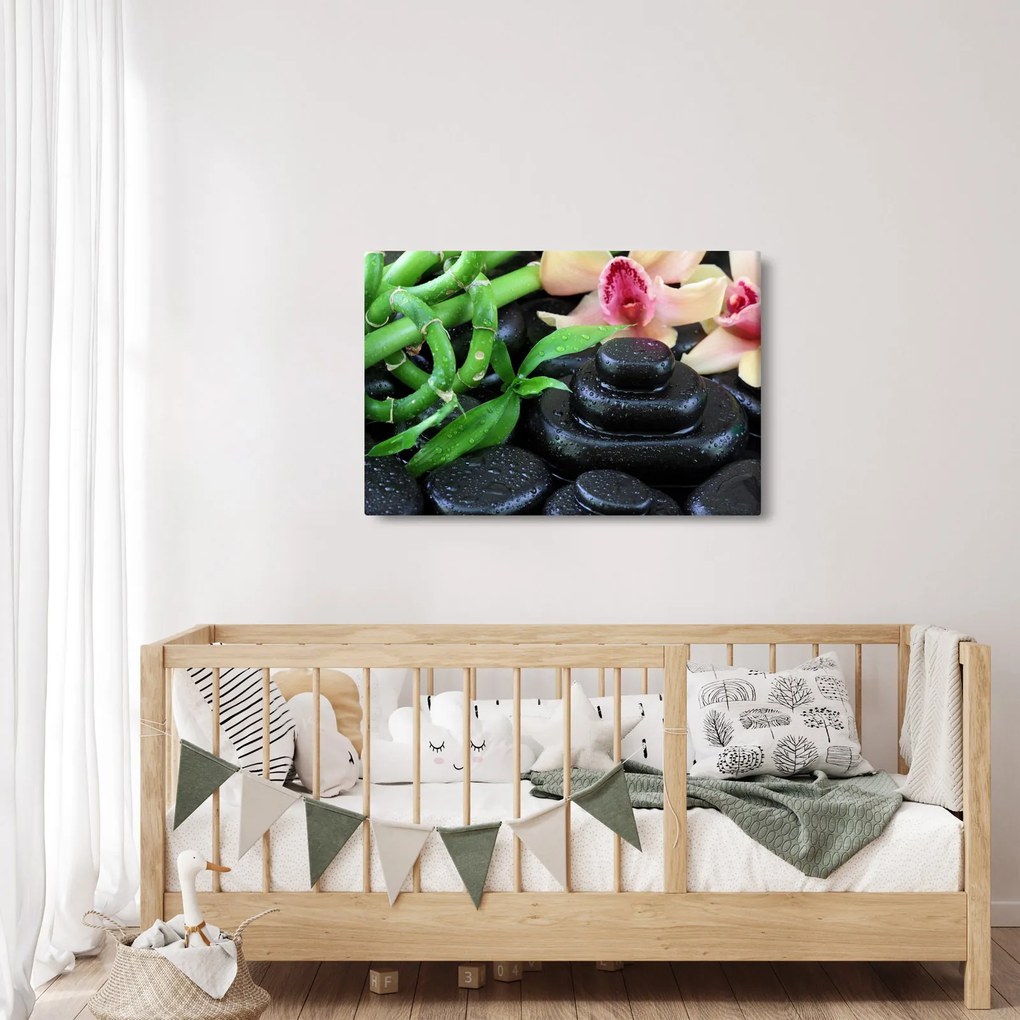Obraz - Kamene a orchidey (90x60 cm)