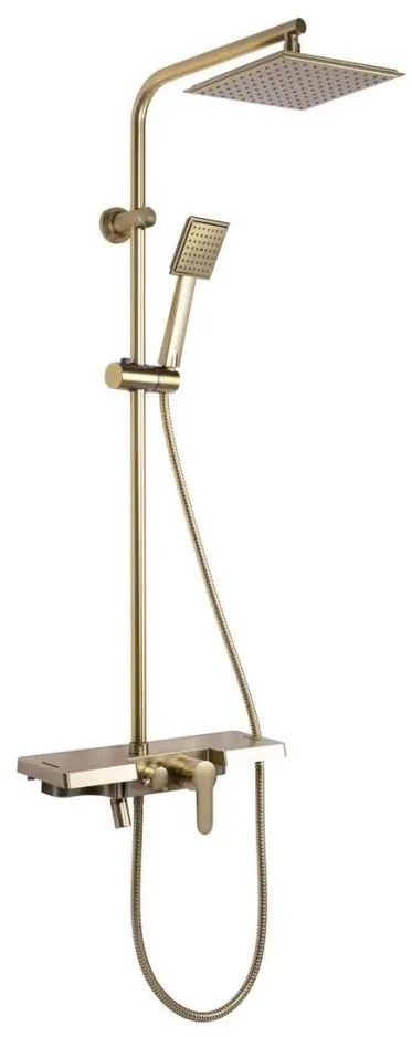 REA-P4121 - Sprchová súprava s batériou BRAVO brúsené zlato