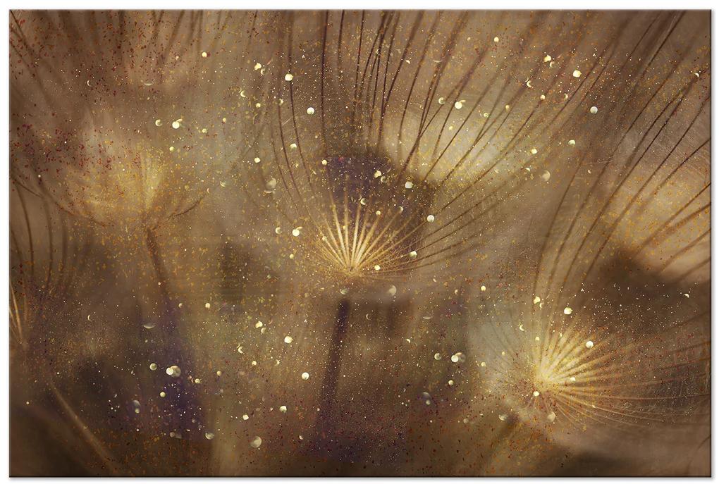 Artgeist Obraz - Golden Dandelions (1 Part) Wide Veľkosť: 120x80, Verzia: Premium Print