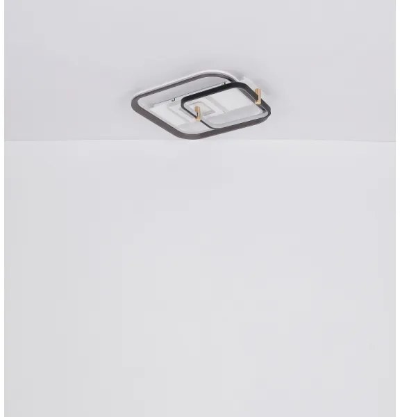 Globo 48459-48 - LED stmievateľné stropné svietidlo ANI LED/48W/230V 2700-6000K+DO