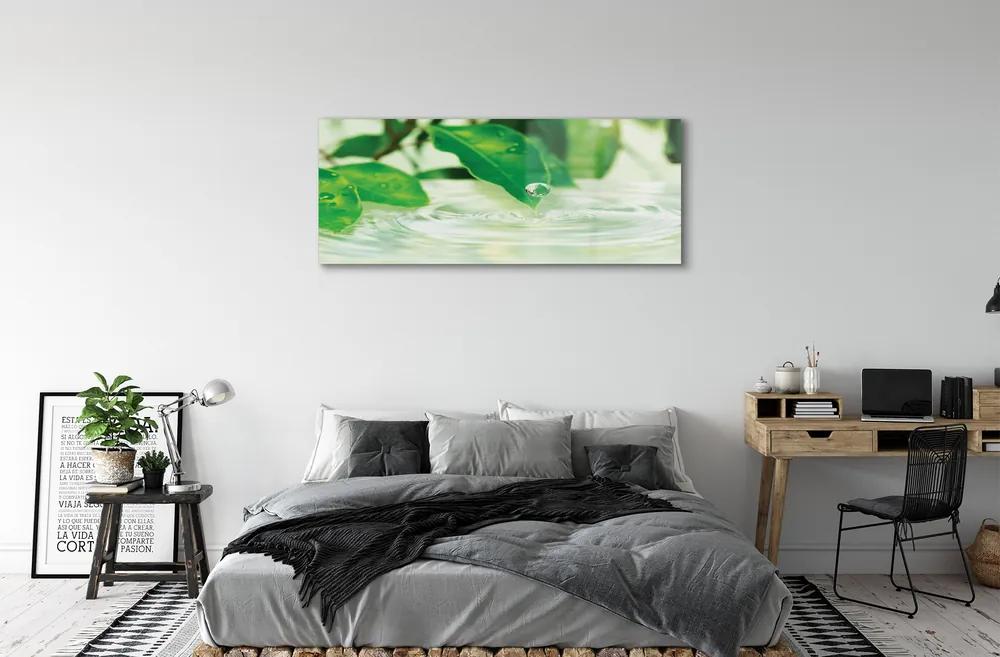 Obraz plexi Kvapky vody lístia 120x60 cm