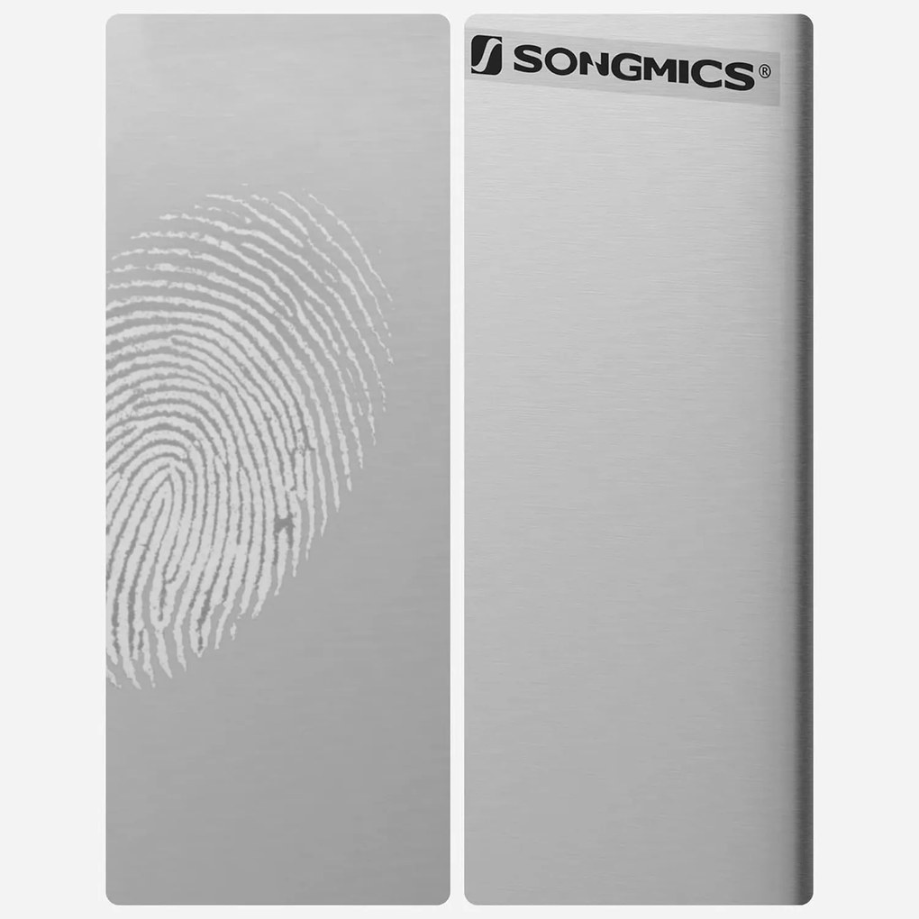 Dvojitý odpadkový kôš, 2 x 20 l kuchynský kôš, strieborná farba