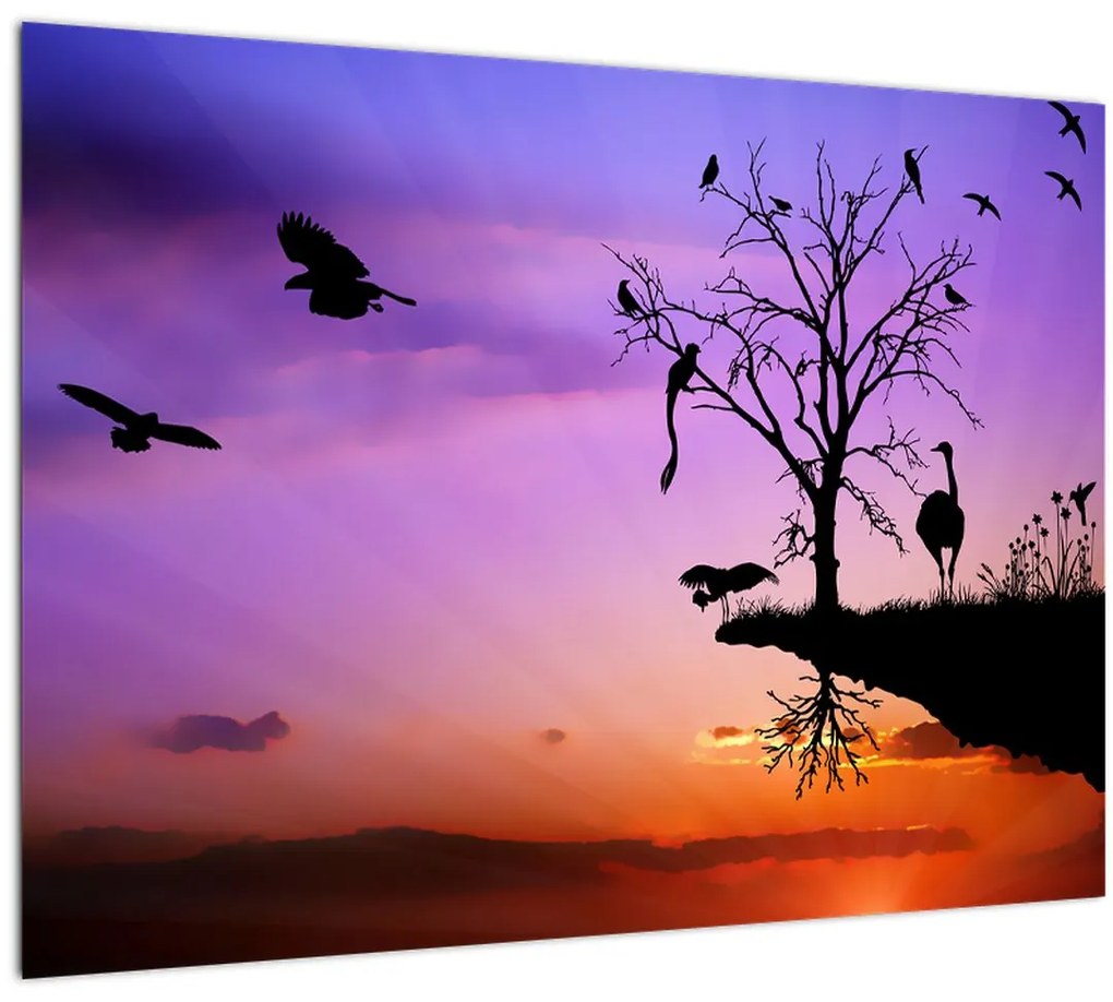 Sklenený obraz - Siluety zvierat (70x50 cm)