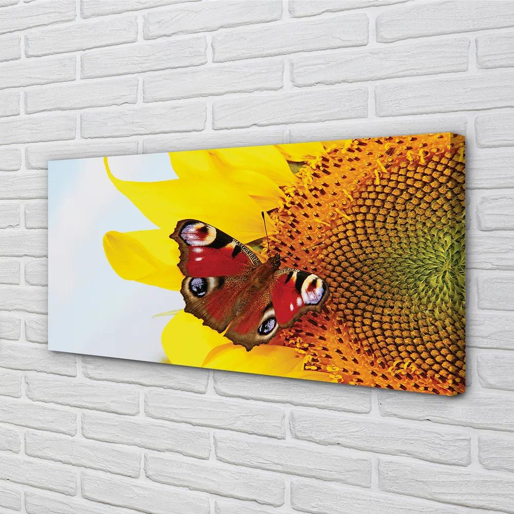 Obraz na plátne slnečnica motýľ 120x60 cm