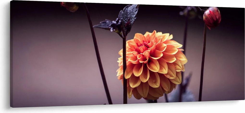 Obraz - Kvietok (120x50 cm)