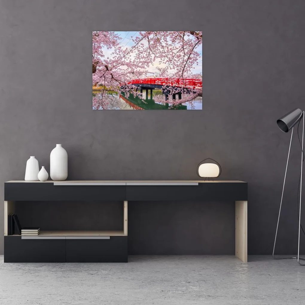 Sklenený obraz - Hirosaki, Japonsko (70x50 cm)
