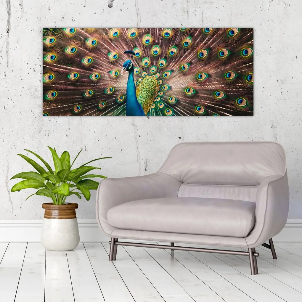 Obraz - Páv (120x50 cm)