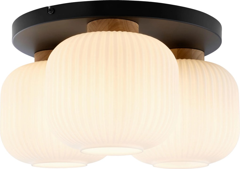XXXLutz STROPNÉ SVIETIDLO, 45.5/22 cm Collett's Monde - Online Only bytové doplnky - 004707017705