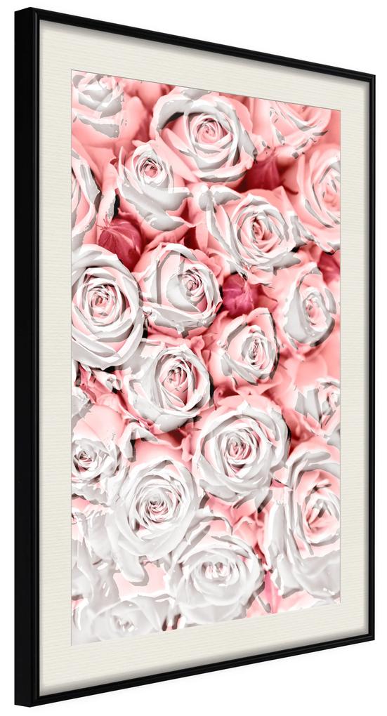 Artgeist Plagát - White Roses [Poster] Veľkosť: 20x30, Verzia: Čierny rám