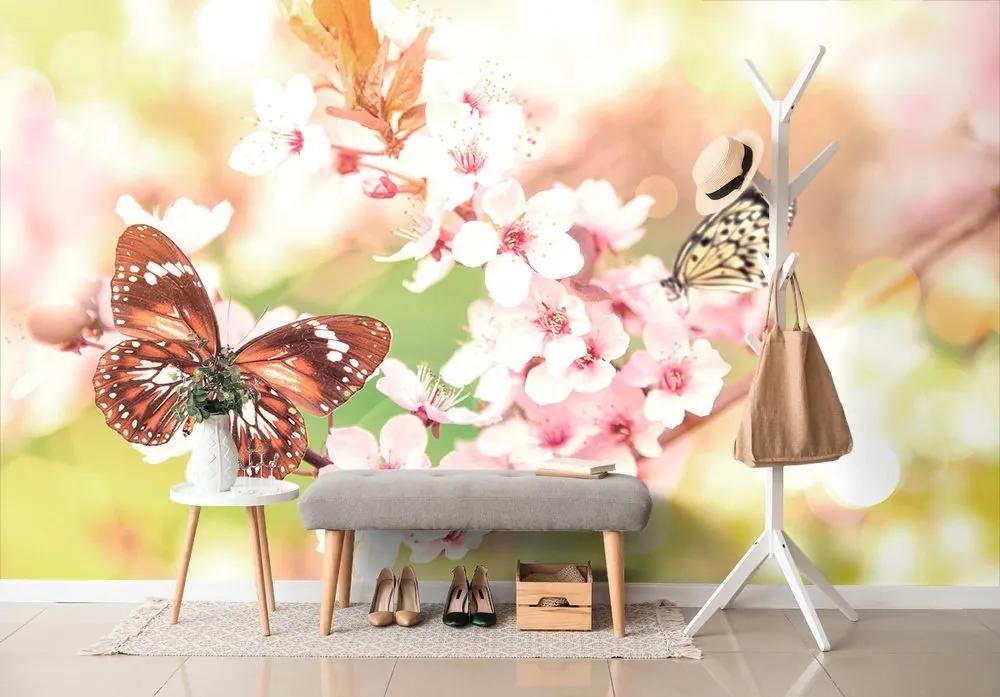 Samolepiaca tapeta jarné kvety s exotickými motýľmi - 375x250