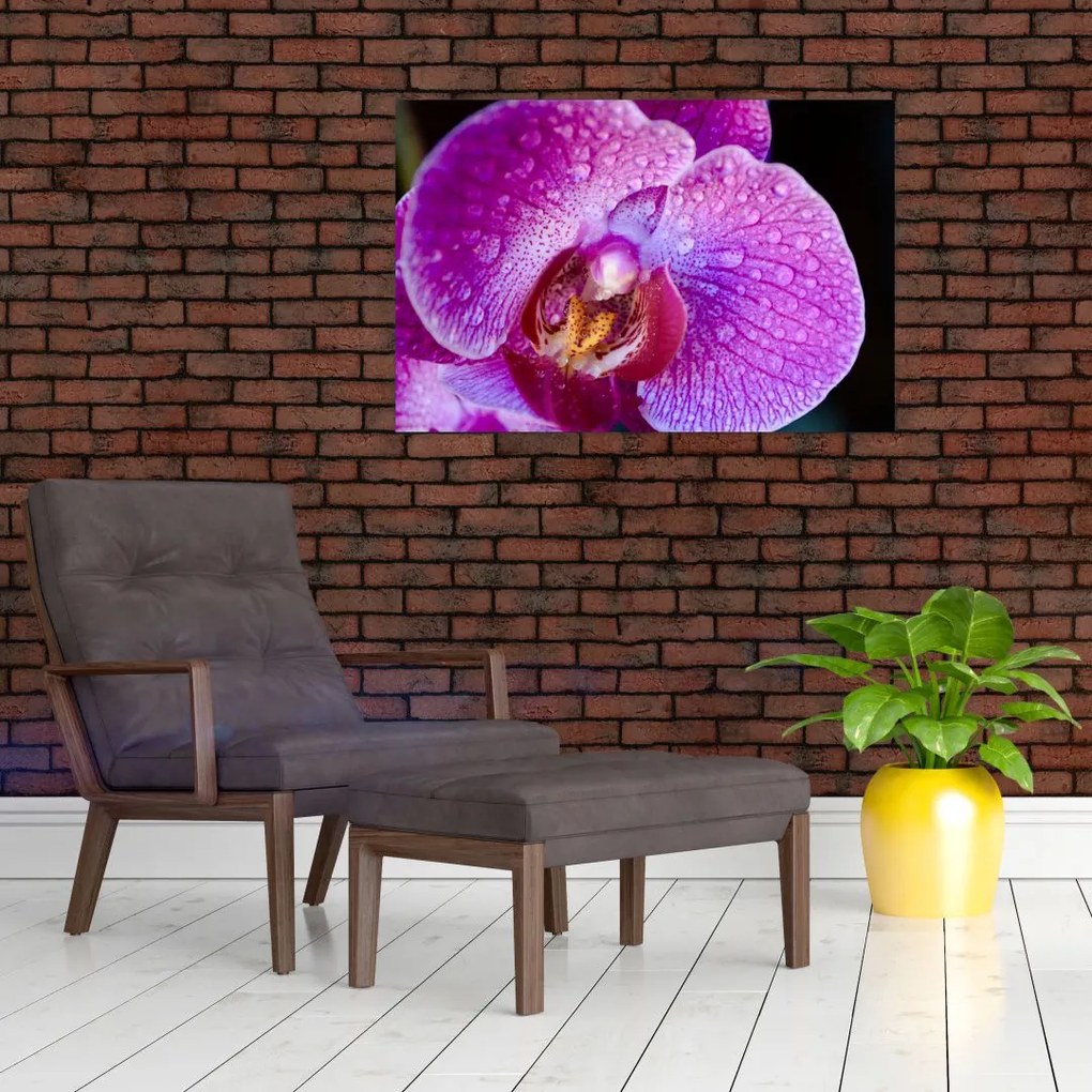 Detailný obraz kvetu orchidey (90x60 cm)