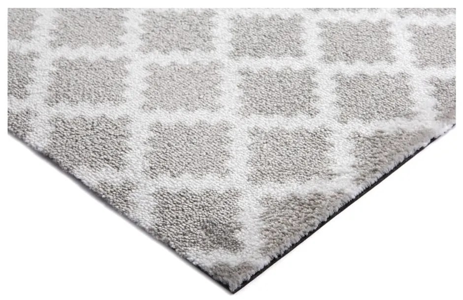 Svetlosivá rohožka Zala Living Elegance, 50 × 70 cm