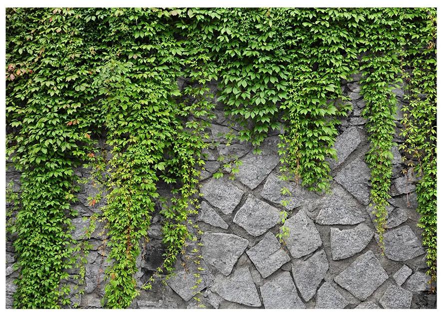 Artgeist Fototapeta - Green wall Veľkosť: 100x70, Verzia: Premium