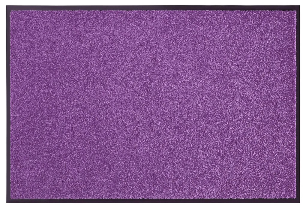 Hanse Home Collection koberce Rohožka Wash & Clean 103838 Violett - 60x90 cm