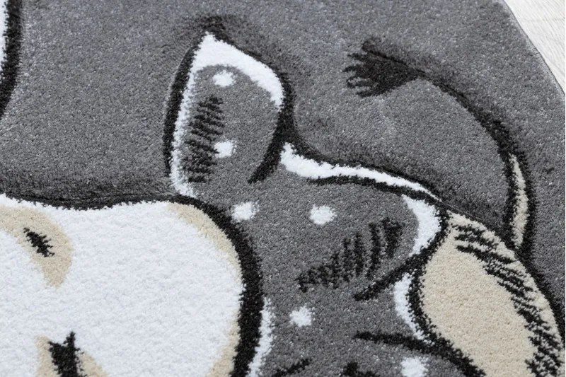 Detský kusový koberec Petit Elephant stars grey kruh, 140x140 (priemer) kruh, šedá, detská izba, Dywany Łuszczów