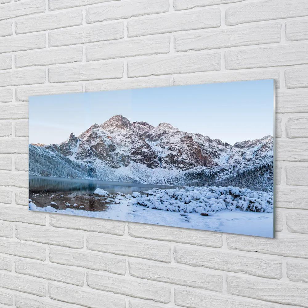 Obraz plexi Horské zimné jazero 140x70 cm