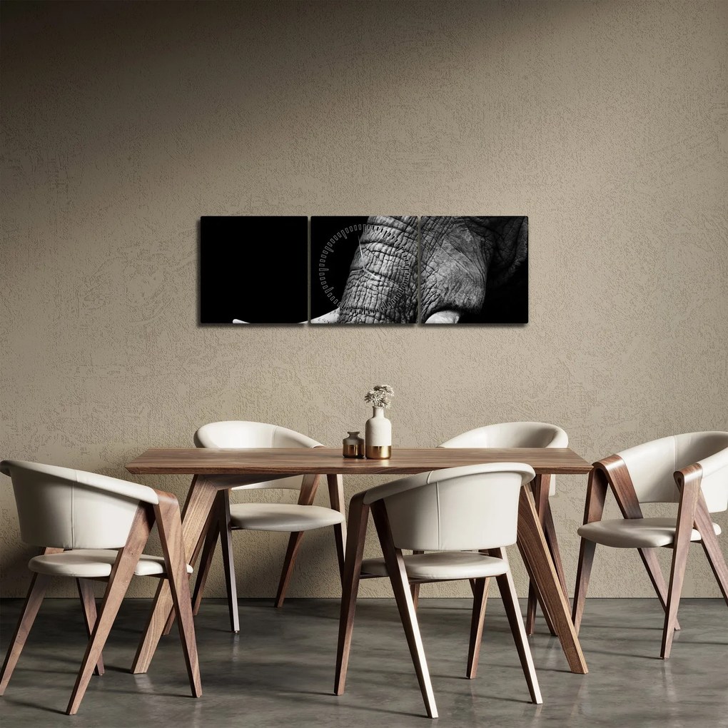 Obraz - Slonie kly (s hodinami) (90x30 cm)