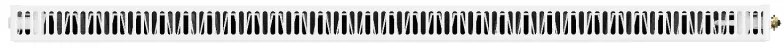 Mexen, Mexen Flat CVF11 panelový radiátor 300 x 1800 mm, spodné pripojenie, 819 W, biely - W611F-030-180-00
