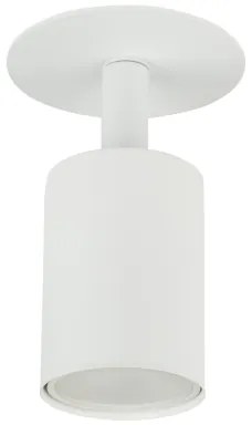 Podhľadové bodové svietidlo NEX 1xGU10/10W/230V biela
