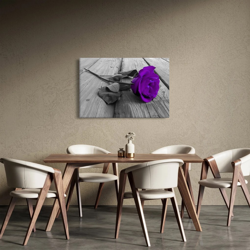 Obraz - Fialová ruža so zelenou stonkou (90x60 cm)