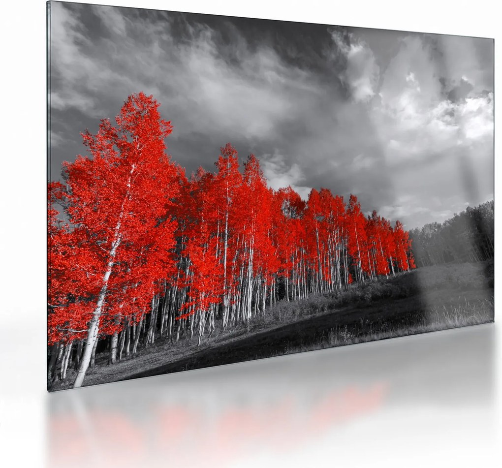 Sklenený obraz - Stromy vo farbe jesene (70x50 cm)