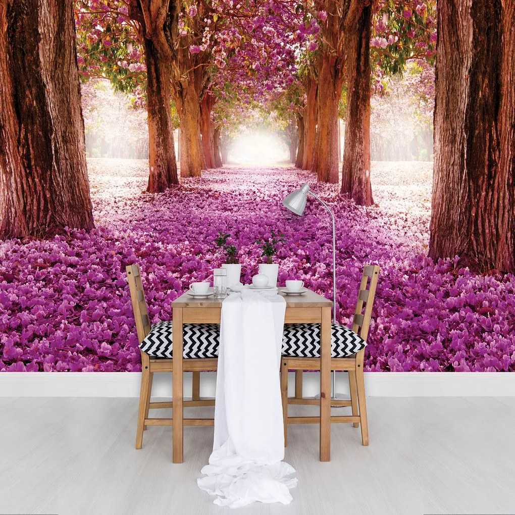 Fototapeta - Alej (254x184 cm)