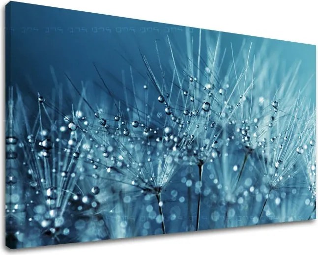 Obraz na stenu KVETY KV085E11 - 30x40 cm