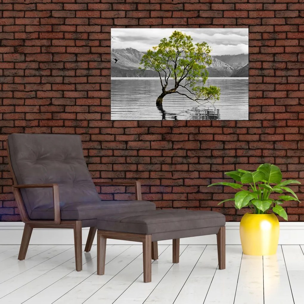 Obraz stromu uprostred jazera (90x60 cm)