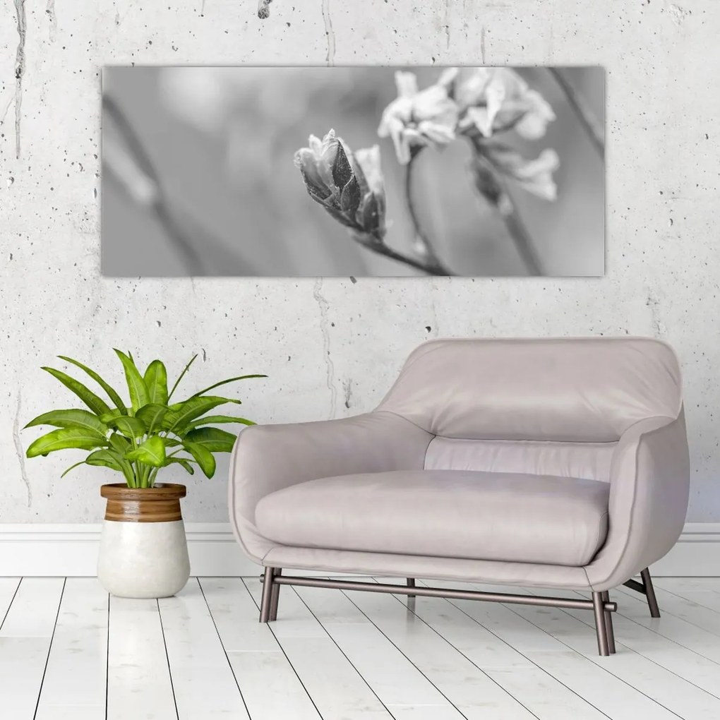 Obraz - Rozkvitnutý kvet (120x50 cm)