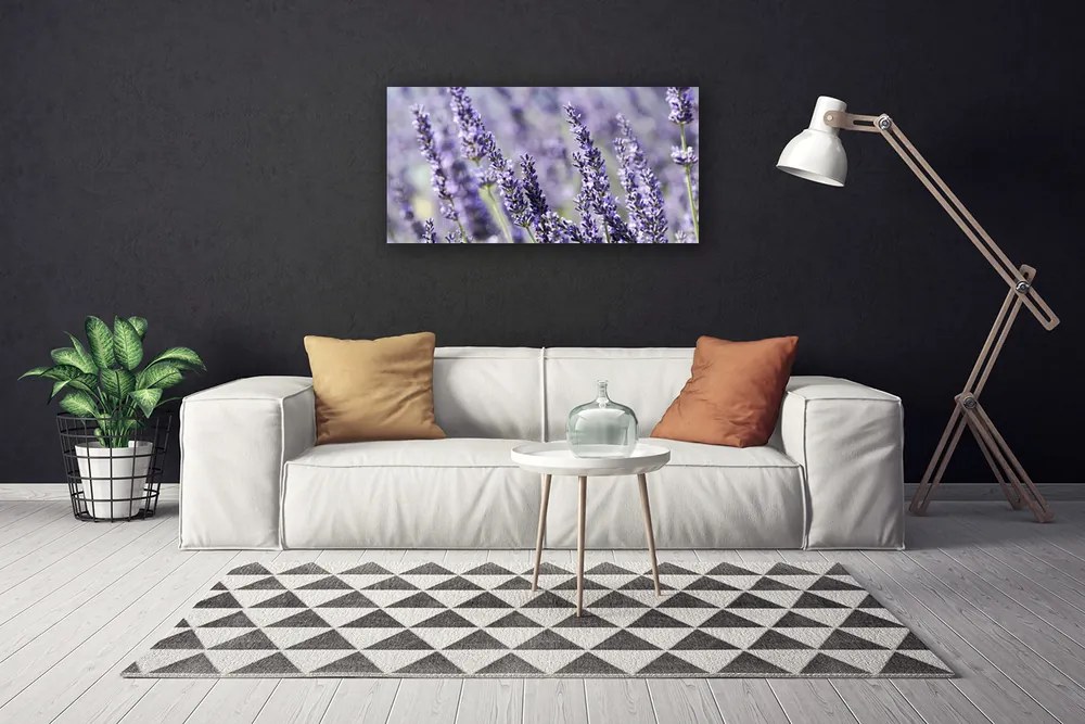 Obraz Canvas Kvety rastlina príroda 125x50 cm