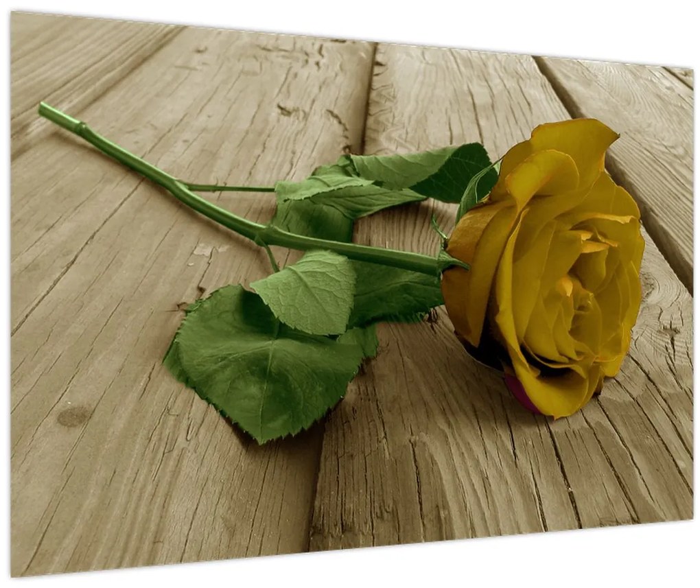 Obraz - Žltá ruža vintage (90x60 cm)