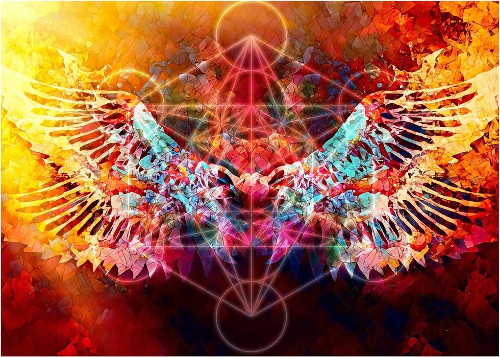 Obraz - Merkaba s krídlami, abstrakcia (70x50 cm)