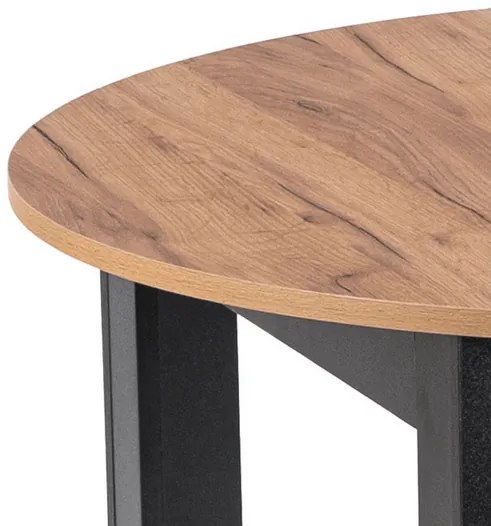 Rozkladací stôl RAMON 103–223 cm Dub Craft / Čierna