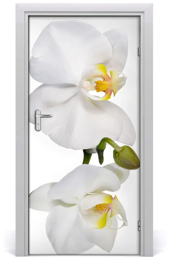 Samolepiace fototapety na dvere biela orchidea 85x205 cm