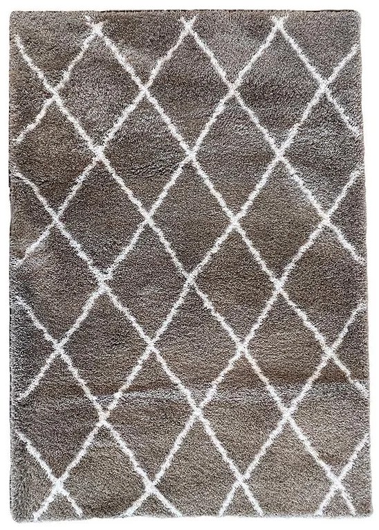 Koberec Shaggy Blizz 1,6/2,3 79803 béžová