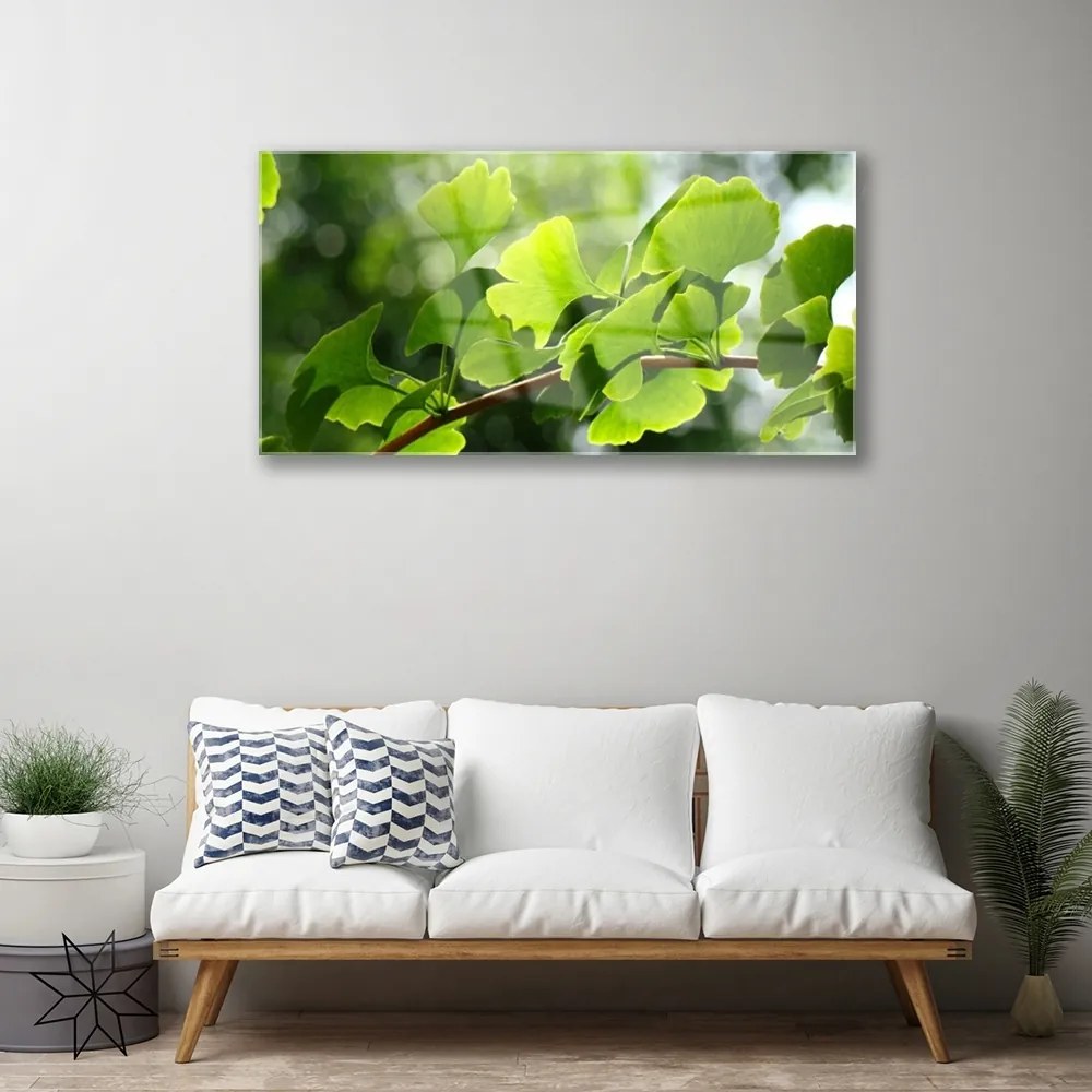 Skleneny obraz Vetvy listy príroda strom 100x50 cm