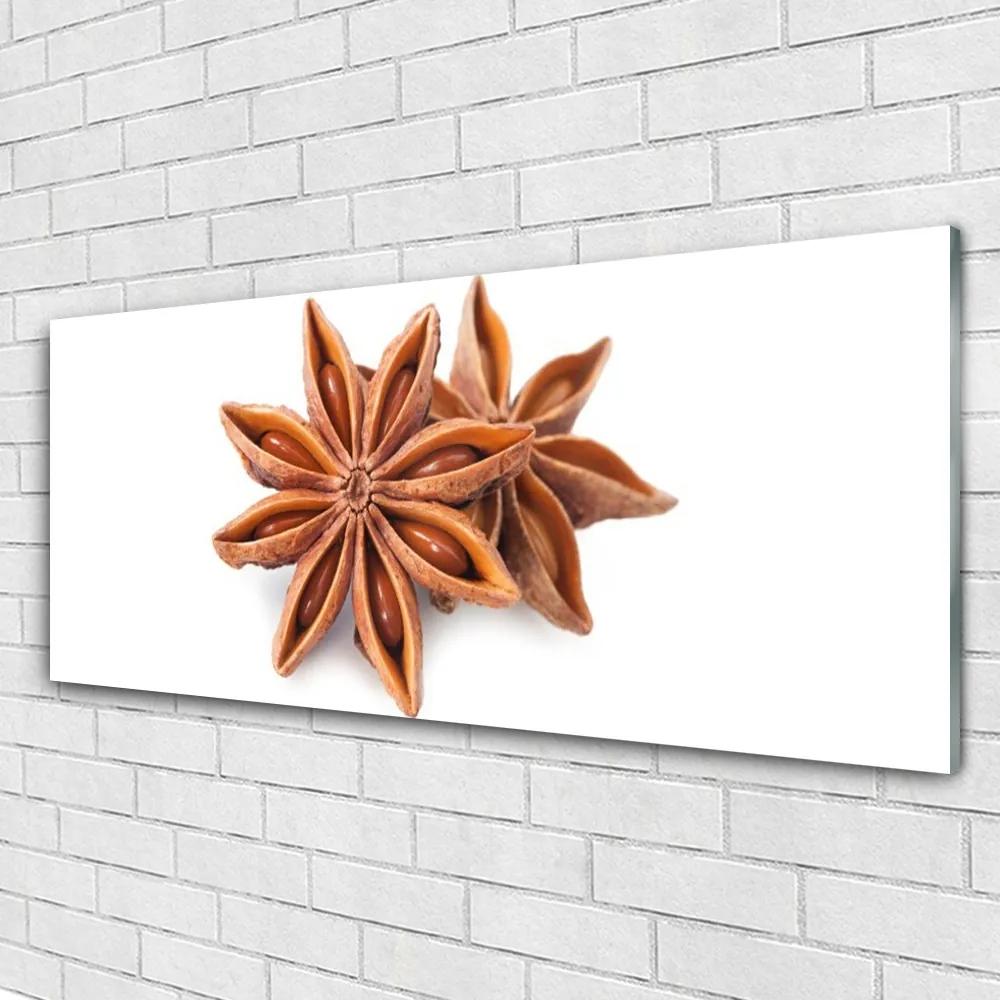 Obraz plexi Aníz hviezda príprava 125x50 cm