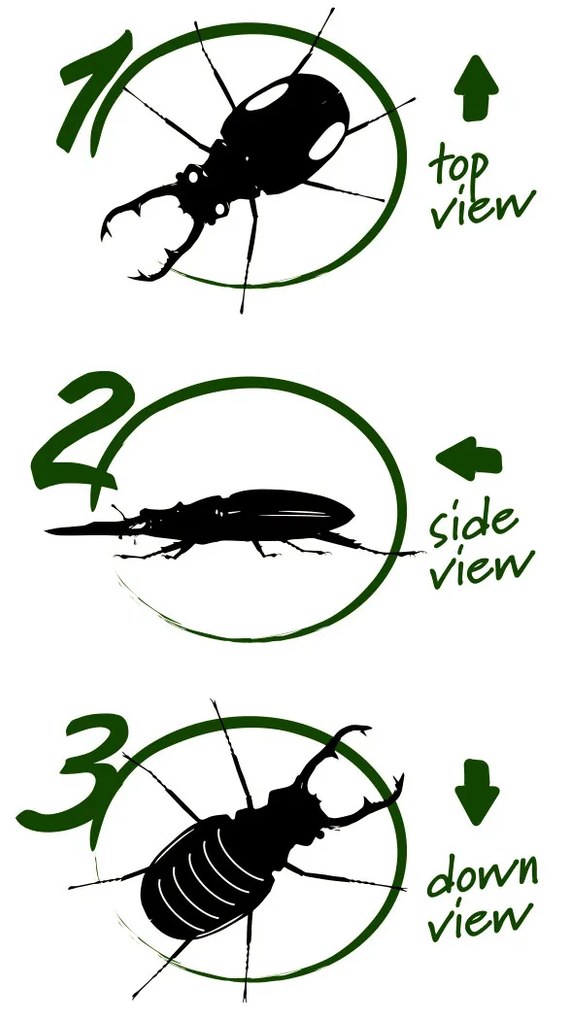 Navir - Explora - téglik na pozorovanie hmyzu