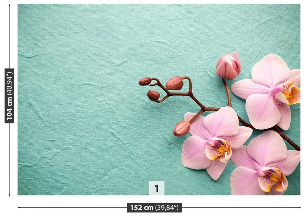 Fototapeta Vliesová Orchid pink 250x104 cm