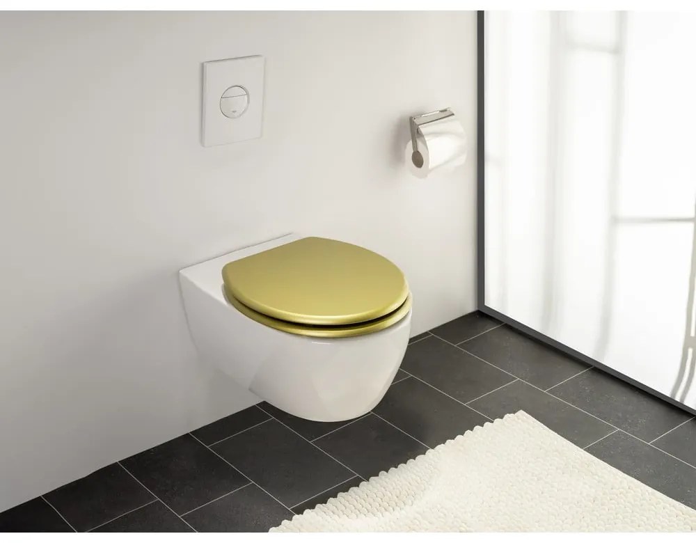 Záchodová doska 38 x 41 cm Aldeno – Wenko