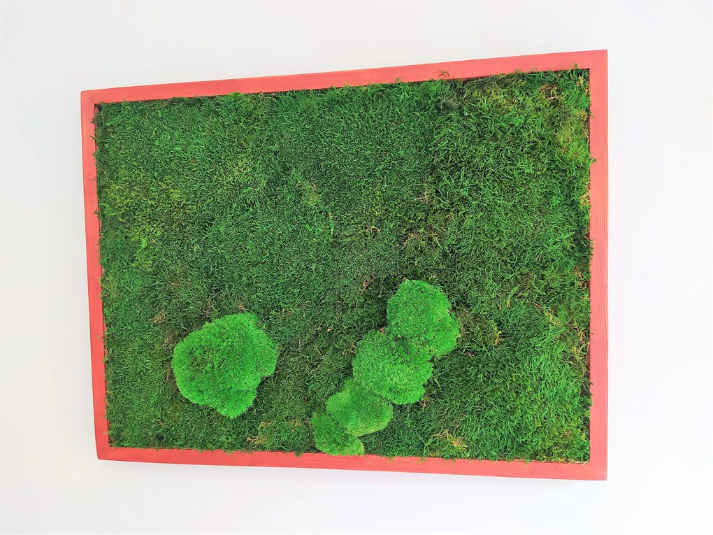 Machový obraz z plochého + kopčekového machu 50cm x 60cm