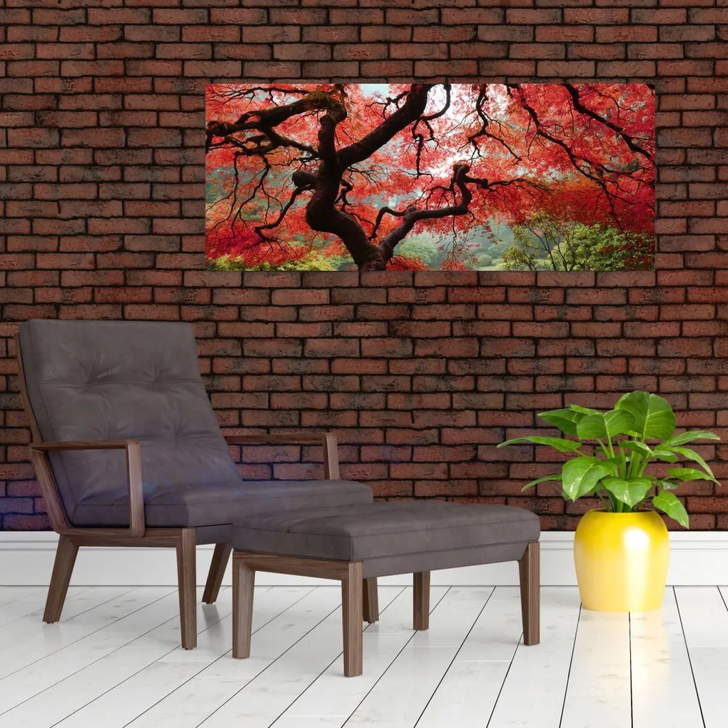 Obraz červeného japonského javora, Portland, Oregon (120x50 cm)