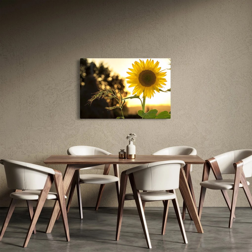 Obraz slnečnice (90x60 cm)