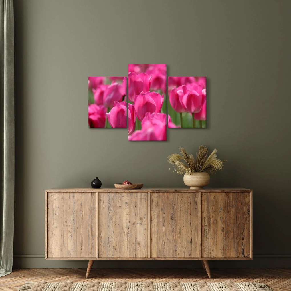 Obraz - Ružové tulipány (90x60 cm)