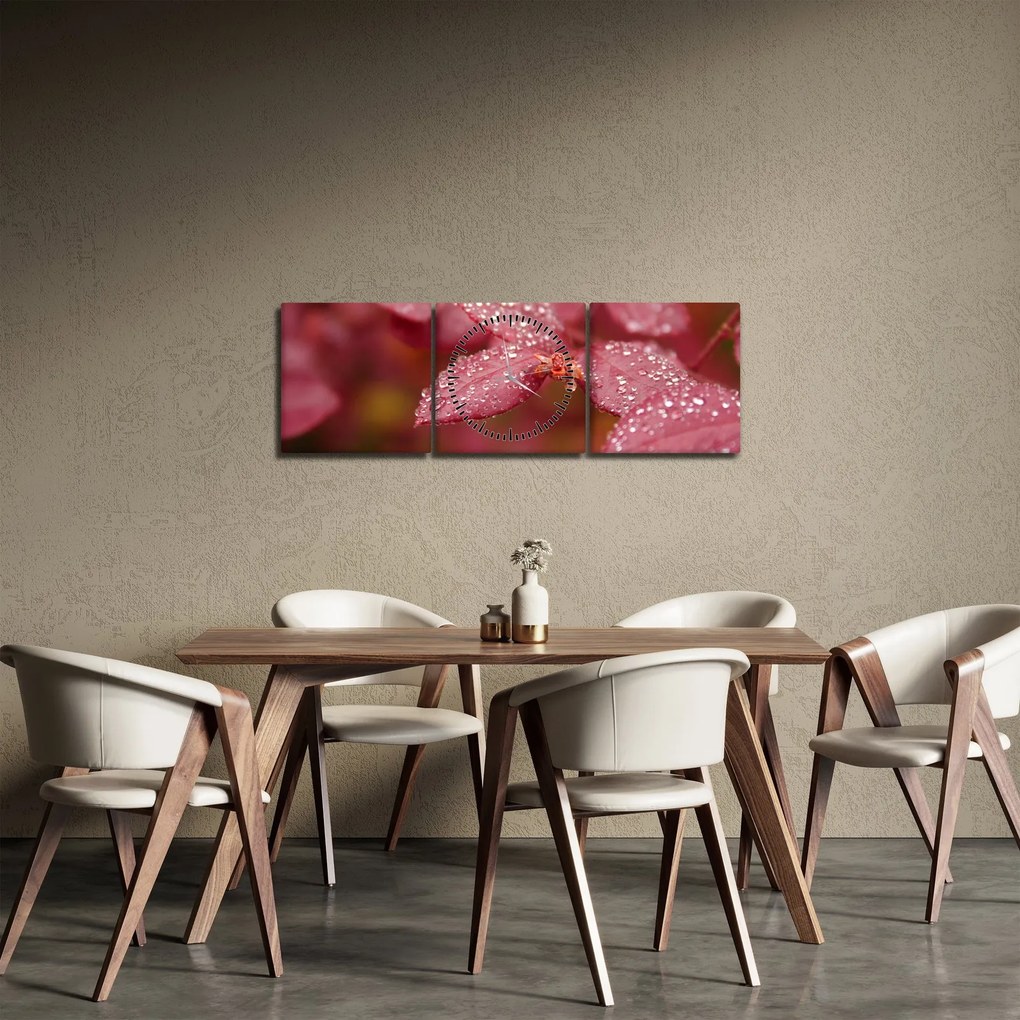Obraz - Makro snímka lístka (s hodinami) (90x30 cm)